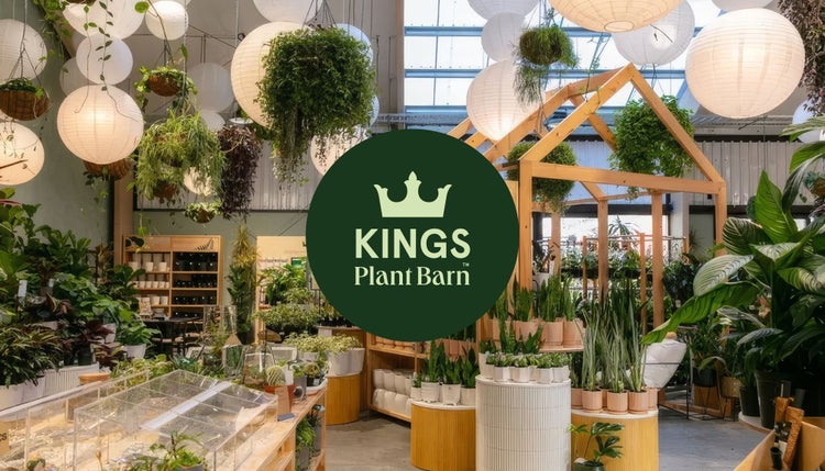 Blackpepper: Kings Plant Barn